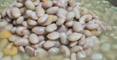Judías blancas con almejas de la abuela Thermomix