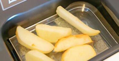 Cómo freír papas en freidora de aire Thermomix