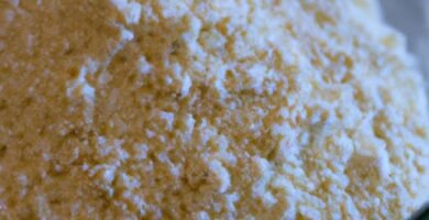 Cantidades de masa madre para hacer pan Thermomix