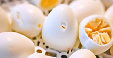 Cocer huevos duros para que se pelen bien Thermomix