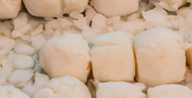 Cómo se hacen las vieiras rellenas congeladas Thermomix