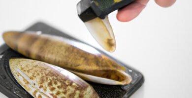 Cómo se preparan las navajas a la plancha Thermomix