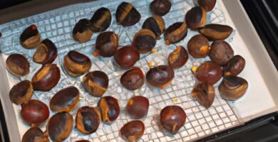 Cómo hacer castañas asadas en el horno Thermomix