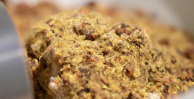 Comida para navidad para dejar preparada de un día anterior Thermomix