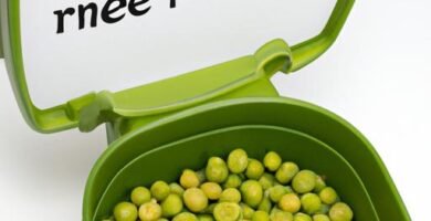 Los guisantes son buenos para los perros Thermomix