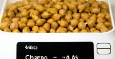 Cantidad de garbanzos por persona para cocido madrileño Thermomix