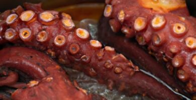 Tiempo cocción pulpo 3 kilos en olla rápida Thermomix
