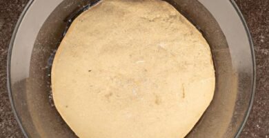 La mejor masa de pizza del mundo Thermomix