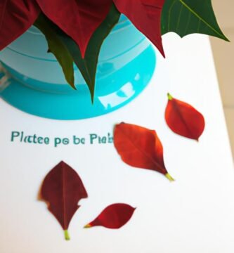 Porque se caen las hojas de la flor de pascua Thermomix