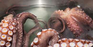 Cocer pulpo en olla express sin agua Thermomix