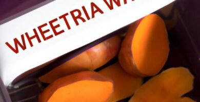 Cómo hacer batata en freidora de aire Thermomix