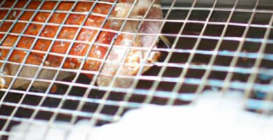 Cómo hacer cochinillo al horno en casa Thermomix