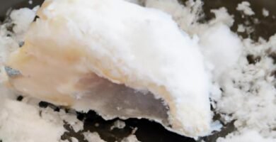 Cómo cocinar bacalao congelado al punto de sal Thermomix