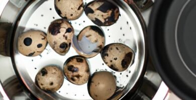 Tiempo de cocción de huevos de codorniz Thermomix