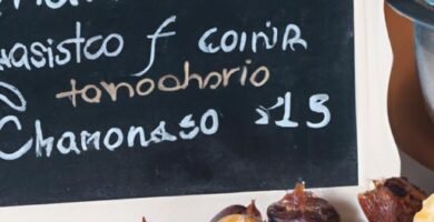 Las castañas son buenas para los perros Thermomix