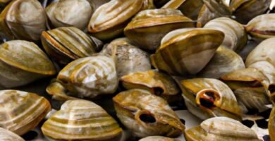 Muslitos de mar en freidora de aire Thermomix