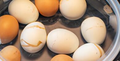 Huevos duros en la freidora de aire Thermomix