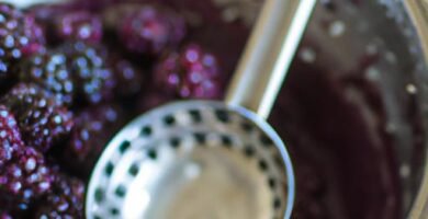 Cómo hacer mermelada de moras sin azucar Thermomix