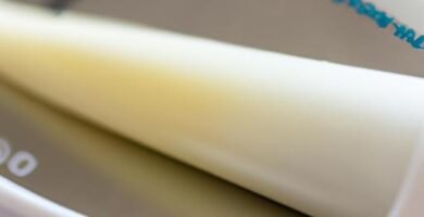 Crema de espárragos blancos thermomix velocidad cuchara Thermomix