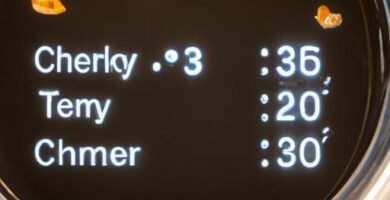 Lagrimitas de pollo en freidora de aire tiempo y temperatura Thermomix